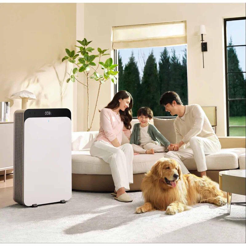 BLUEAIR Classic Pro Air Purifier CLASSIC PRO CP9I-image 5