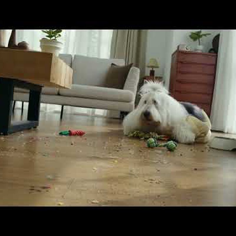 TINECO Ifloor Y3 Stretch Cordless Floor Washer Y3 STRETCH-image 2