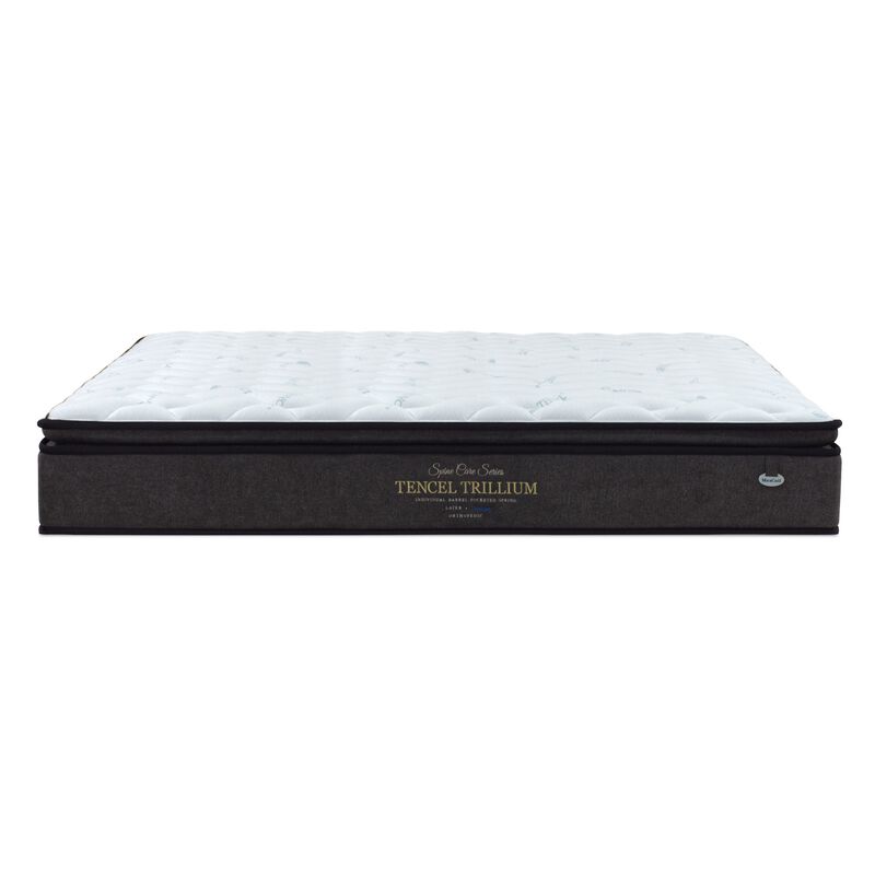 MAXCOIL King Size Mattress SPINECARE TENCEL TRILLIUM-image 1