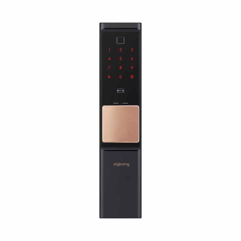 ZIGBANG Shp-r80 - Gold SHP-R80 - GOLD-image 1