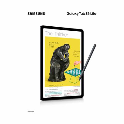 SAMSUNG Galaxy Tab S6 Lite(2024)wifi 128gb Gray SM-P620NZAEXSP