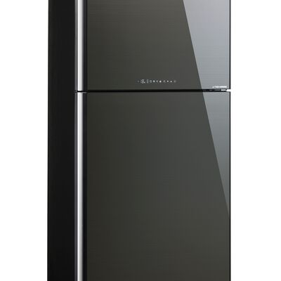 SHARP 2 Dr Fridge (554l) SJ-PG55P2-DS