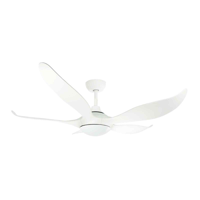 D'FAN 52 In Dc Ceiling Fan With Led Light (white) TYPHOON52-WH-image 2