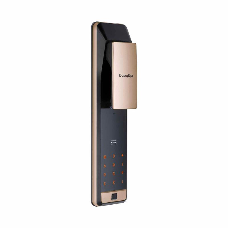 ZIGBANG Shp-p72 - Gold SHP-P72 - GOLD-image 3