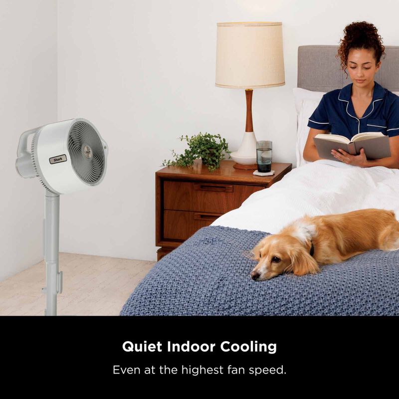 SHARK Flexbreeze Pro Mist Indoor & Outdoor Fan With Water Tank (white) FA300SMWH-image 8