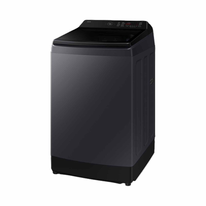 SAMSUNG Top Load Washer (13kg) (deep Charcoal) WA80F13S5CSP-image 2