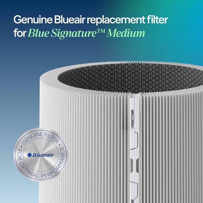 BLUEAIR Replacement Filter For Sp4i 113426-image 2