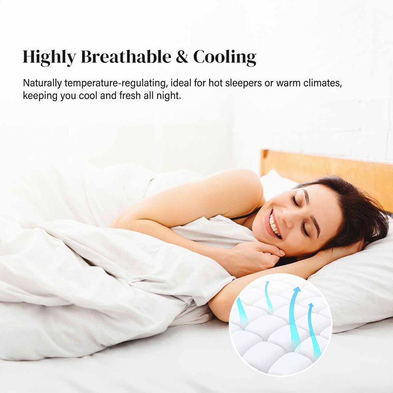 INTERO Intero I Cooltech Latex I Cooling Latex I Contour Pillow ( Oe ) 7483 I CONTOUR LATEX-image 2