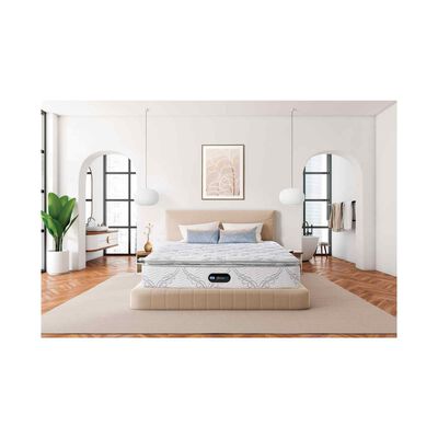 SIMMONS Single Size Mattress BR GOLDEN JUBILANT