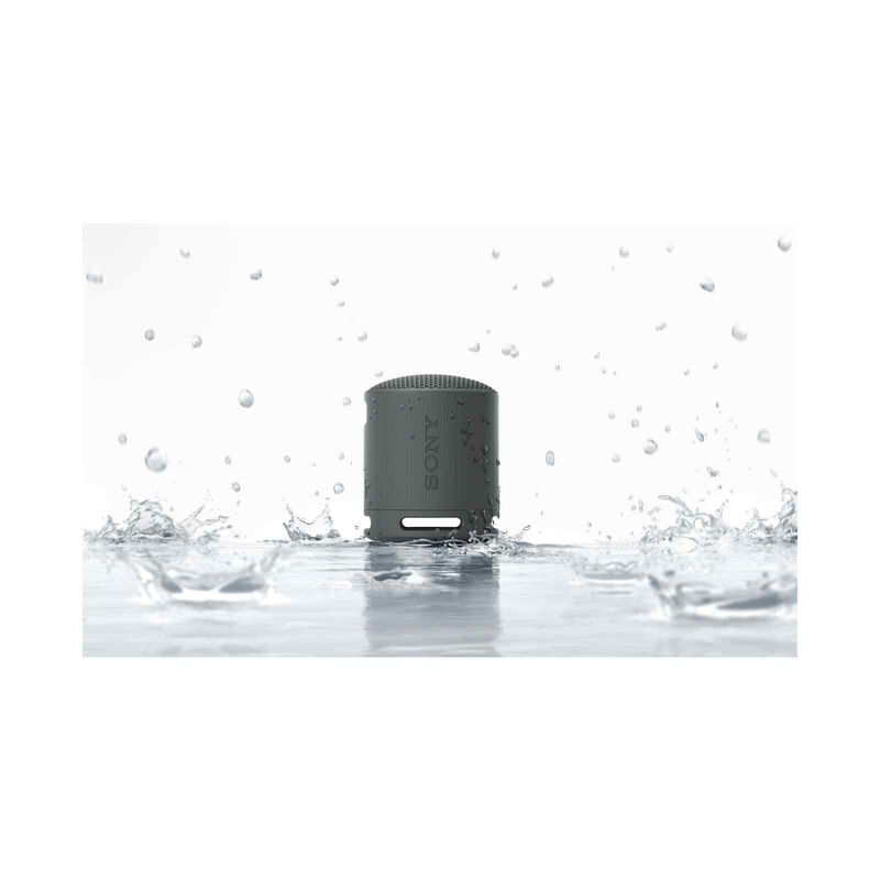 SONY Wireless Speaker (black) SRS-XB100/BCE-image 5