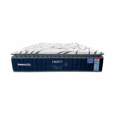DUNLOPILLO Frosty Queen Size Mattress FROSTY