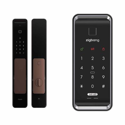 AQARA A+z* D200i (door) + Zigbang Shp-a21(gate) + Installation Black+bronze AQARA D200I (DOOR) + ZIGBANG SHP-A21(GATE) + INSTA