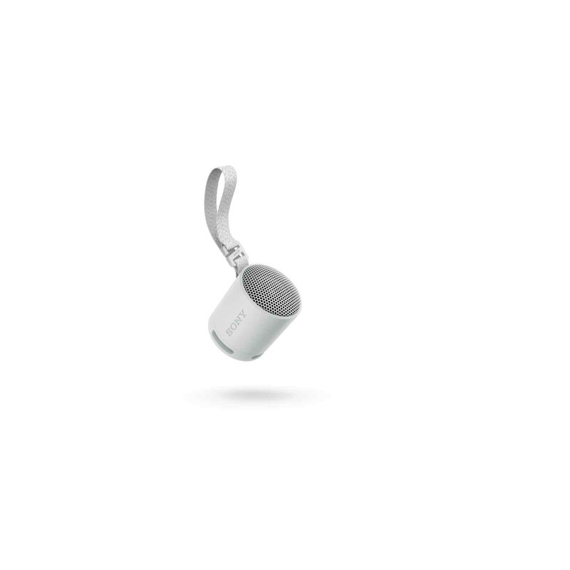 SONY Wireless Speaker (light Gray) SRS-XB100/HCE-image 2