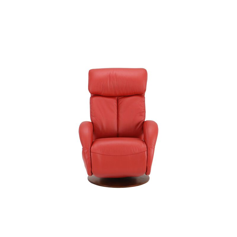 CANOPY Power Lift Chair (hl)half Leather Recliner Sofa VERNON-image 6