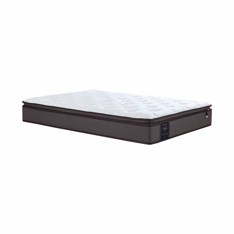 MAXCOIL Super Single Size Mattress + Bedframe LATTE-image 2