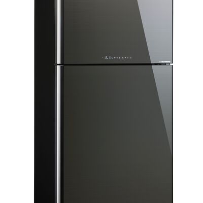 SHARP 2 Dr Fridge (600l) SJ-PG60P2-DS