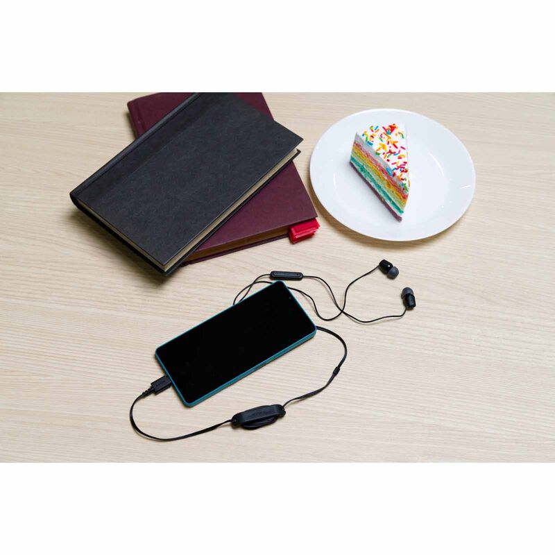 SONY Usb-c Wired In-ear Headphone (black) IER-EX15C/BZE-image 2