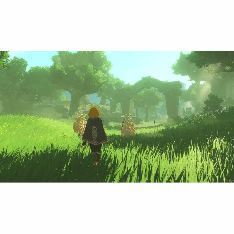 NINTENDO Switch 2 Hyrule Warriors: Age Of Imprisonment NTD-BEE-P-AAGAB-SEA-image 4