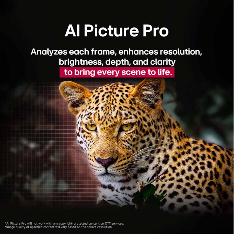 LG 55 In 4k Uhd Oled Tv OLED55G5PSA.ATC-image 11