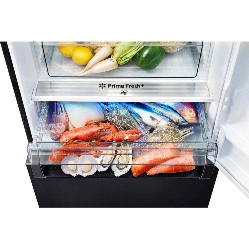 PANASONIC 2 Dr Fridge (405l) - Black NR-BX471WGKS-image 3