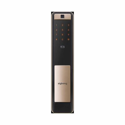 ZIGBANG Shp-p72 - Gold SHP-P72 - GOLD