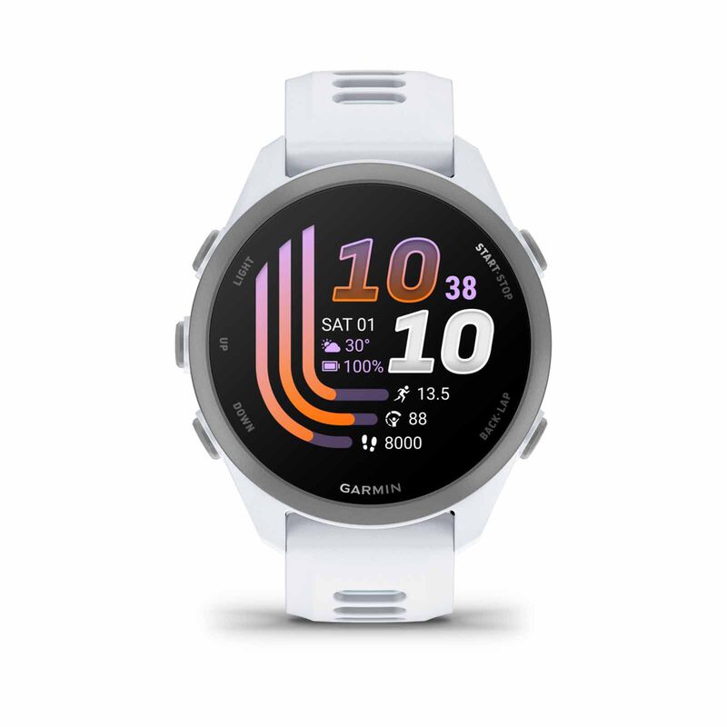 GARMIN Forerunner 170 Whitestone/cloud Blue GM-010-03920-51-image 1