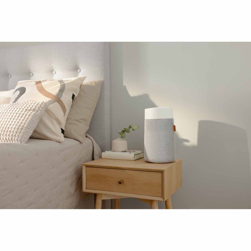 BLUEAIR Blueair Mini Max Air Purifiers 111524-image 2