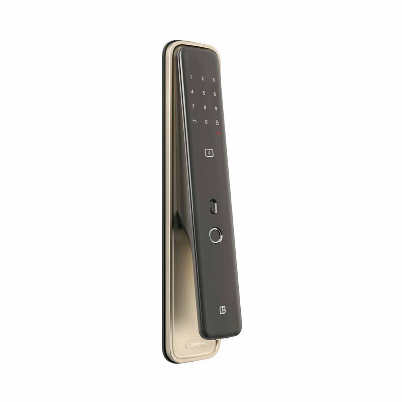 IGLOOHOME Mt1 - Champagne Gold MT1 - CHAMPAGNE GOLD-image 3