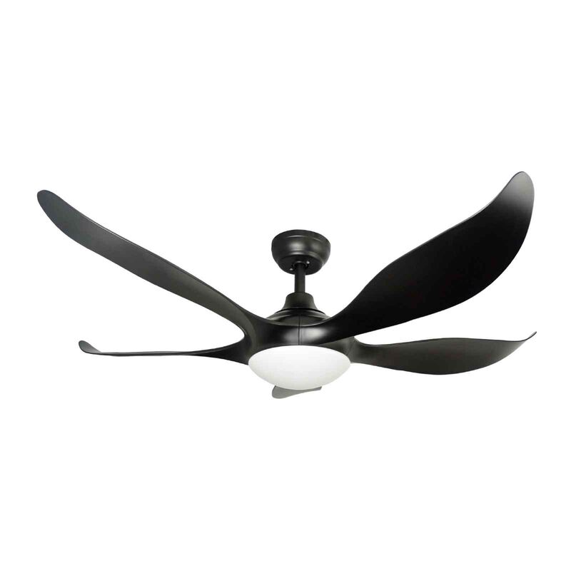 D'FAN 52 In Dc Ceiling Fan With Led Light (black) TYPHOON52-BK-image 2