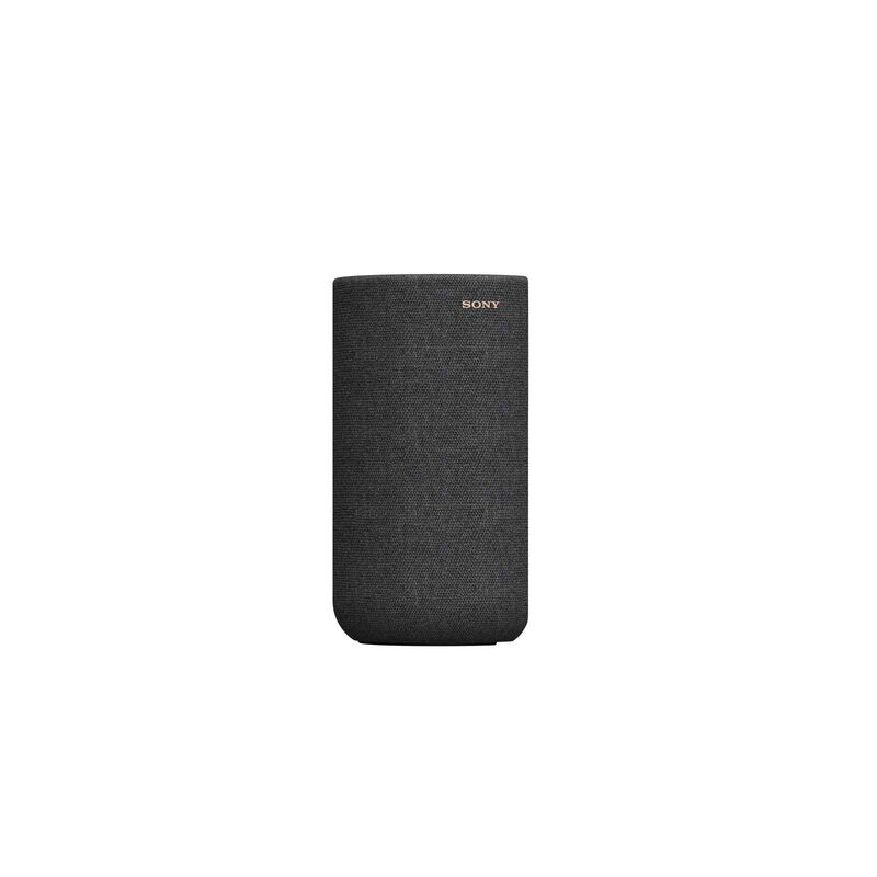 SONY Rear Speaker SA-RS5-image 4
