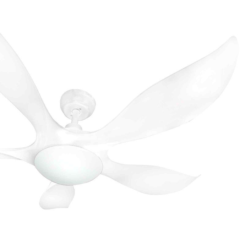 D'FAN 52 In Dc Ceiling Fan With Led Light (white) TYPHOON52-WH-image 3