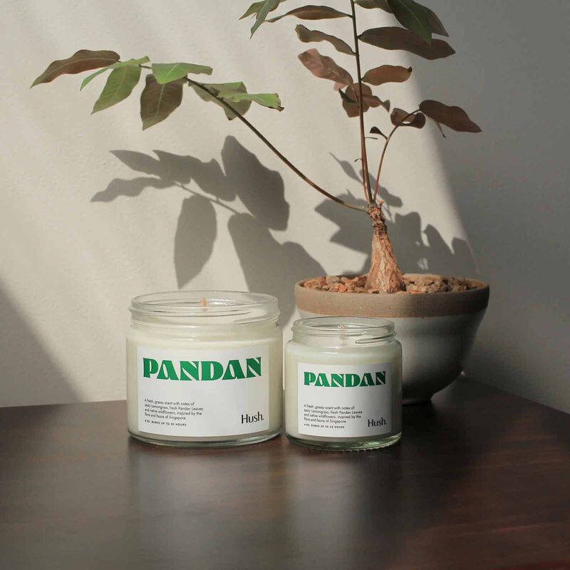 HUSH CANDL Candle - 8oz PANDAN-image 2