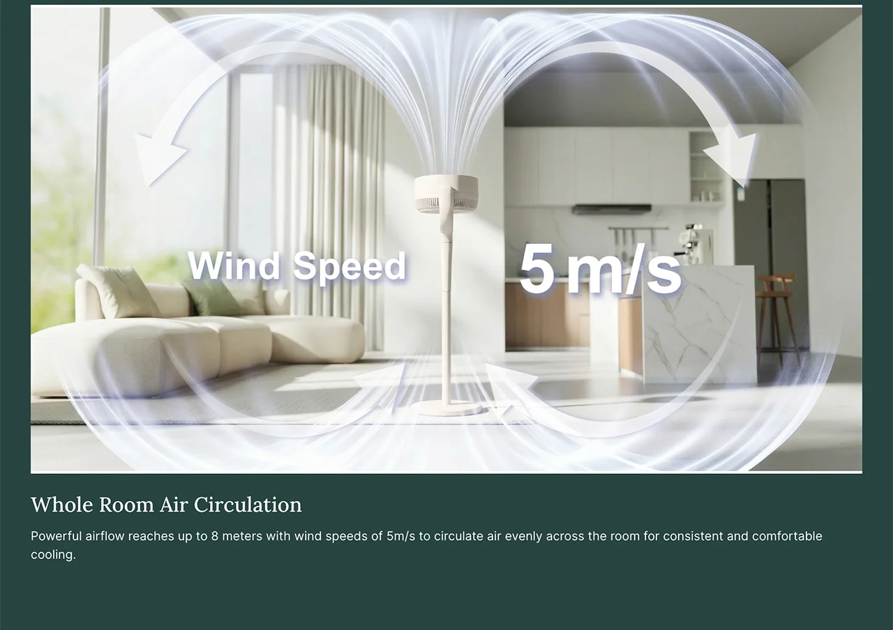 Whole Room Air Circulation