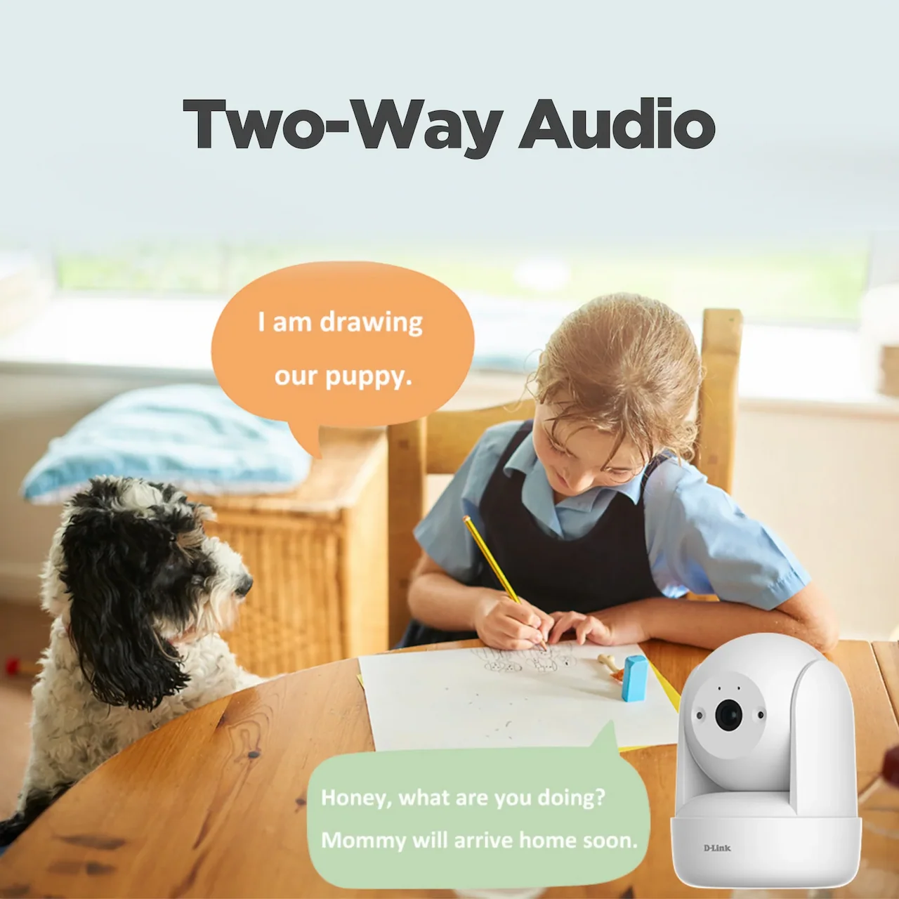 Two-Way Audio