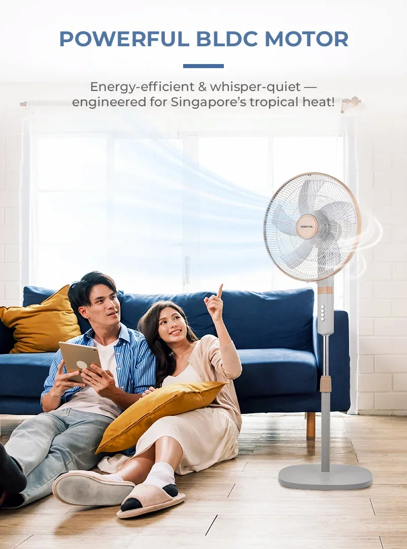 POWERFUL BLDC MOTOR
