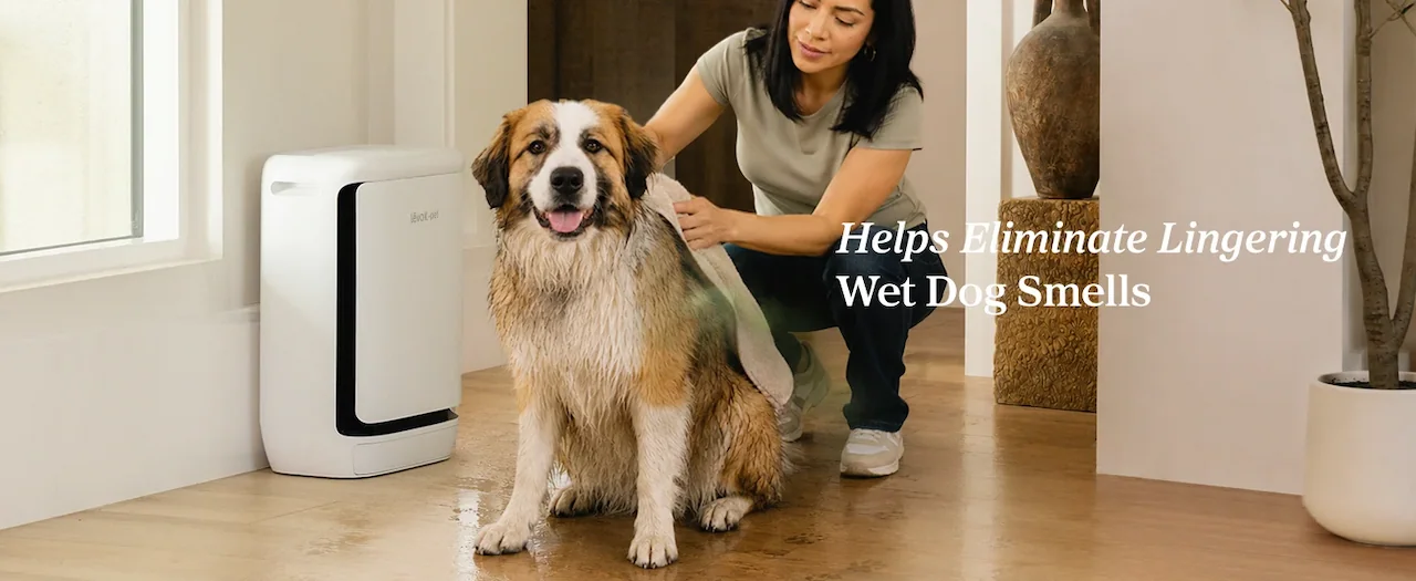 Helps Eliminate Lingering Wet Dog Smells