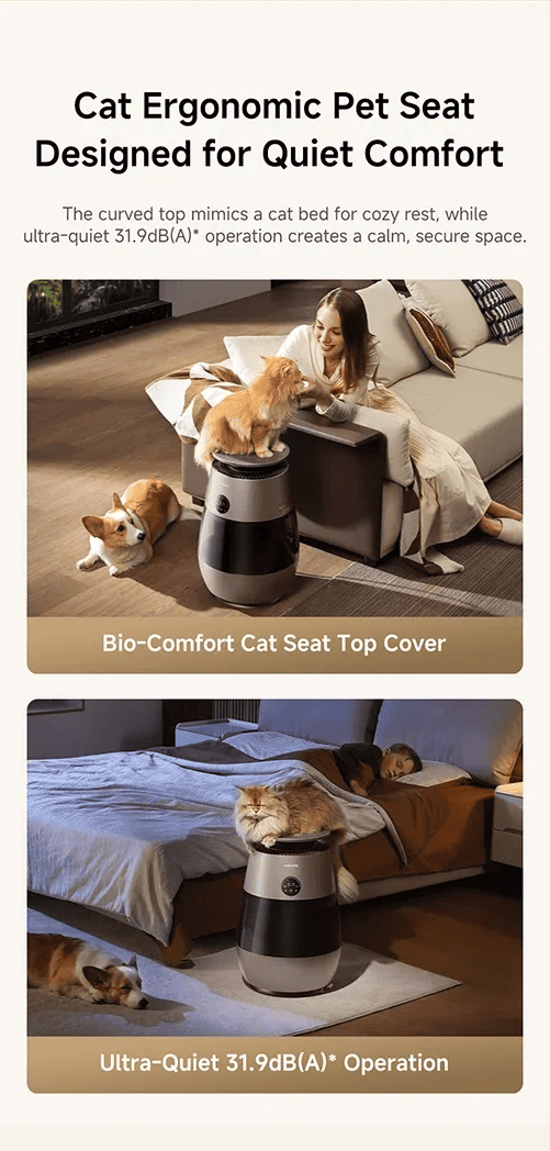 Cat Ergonomic Pet Seat Designed for Quiet Comfort