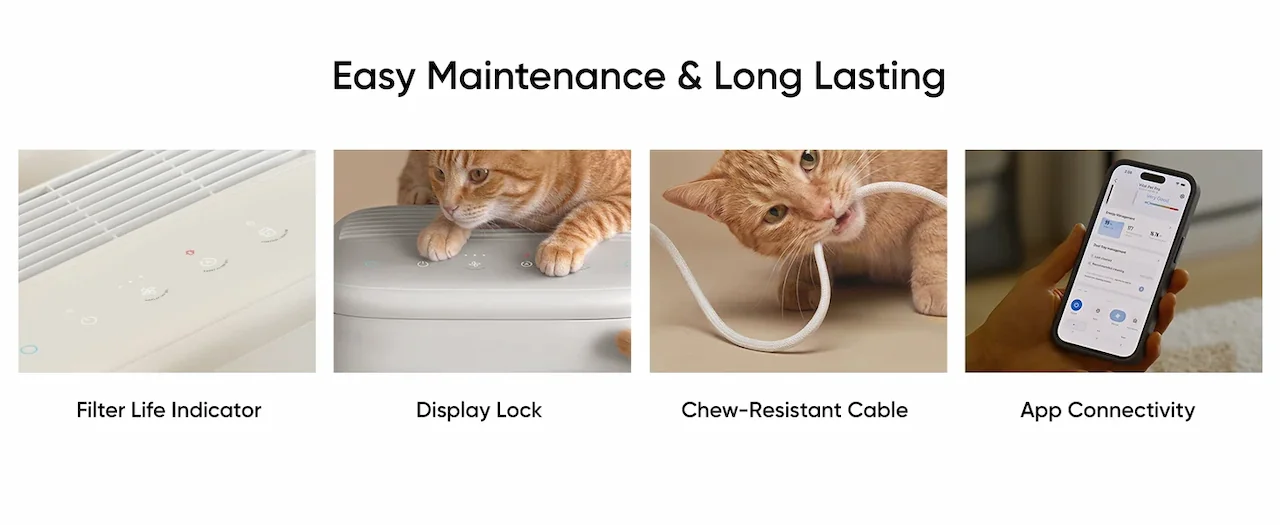 Easy Maintenance & Long Lasting