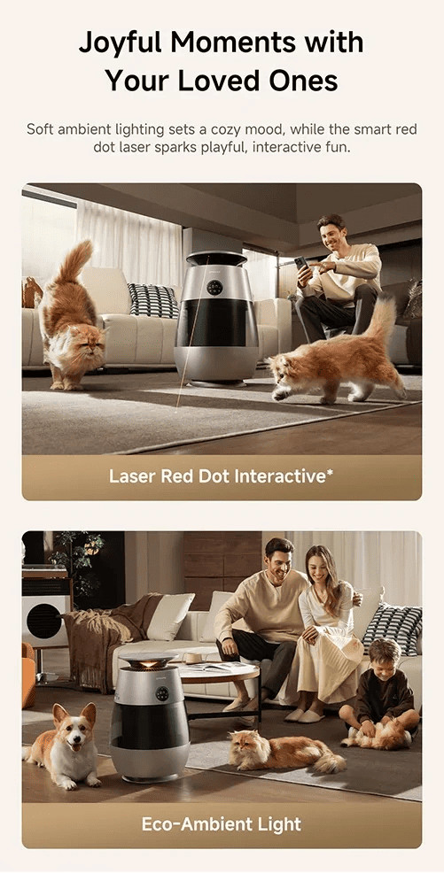 Joyful Moments with Your Loved Ones
