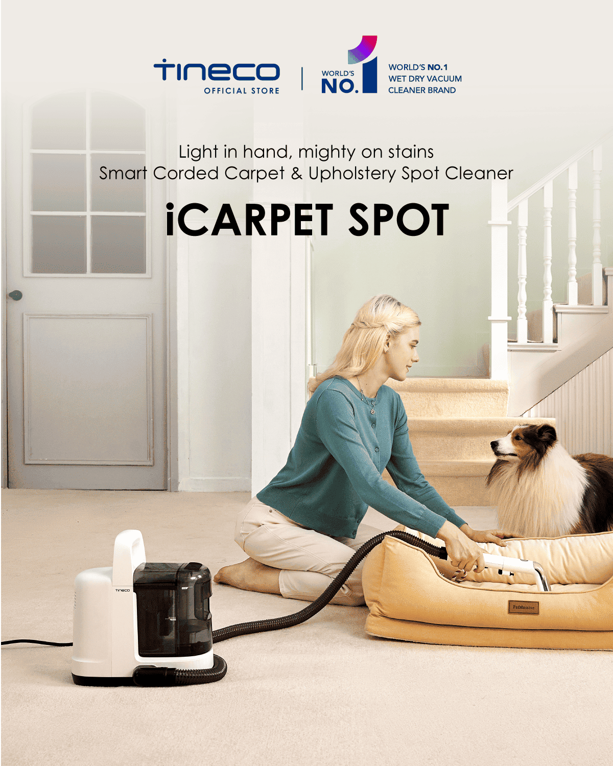 iCARPET SPOT