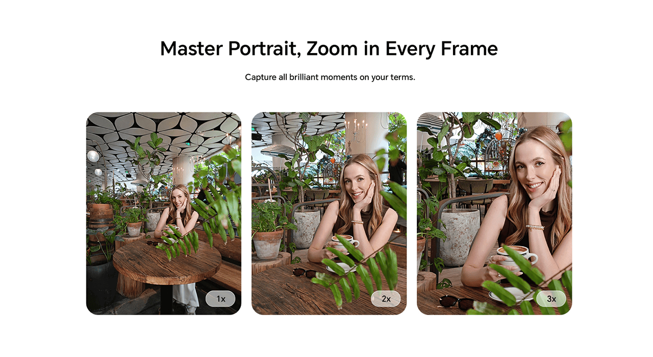 Master Portrait, Zoom in Every Frame