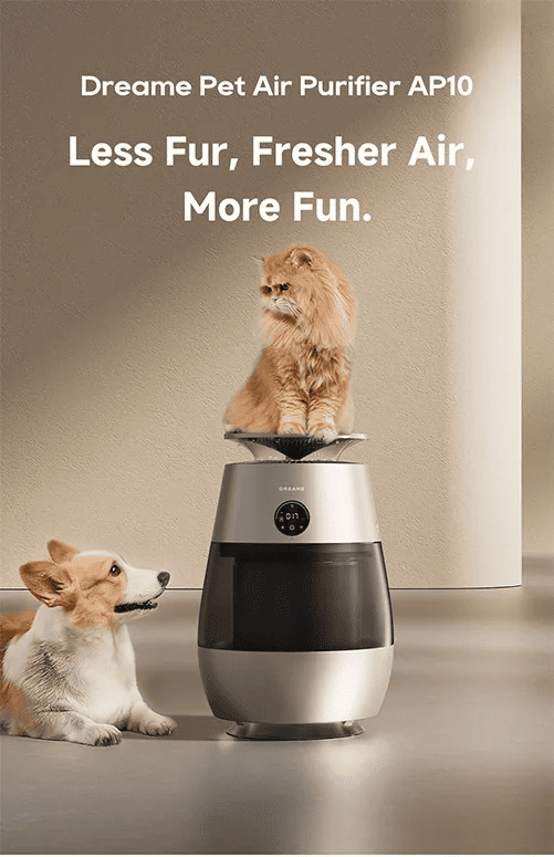 Dreame Pet Air Purifier AP10