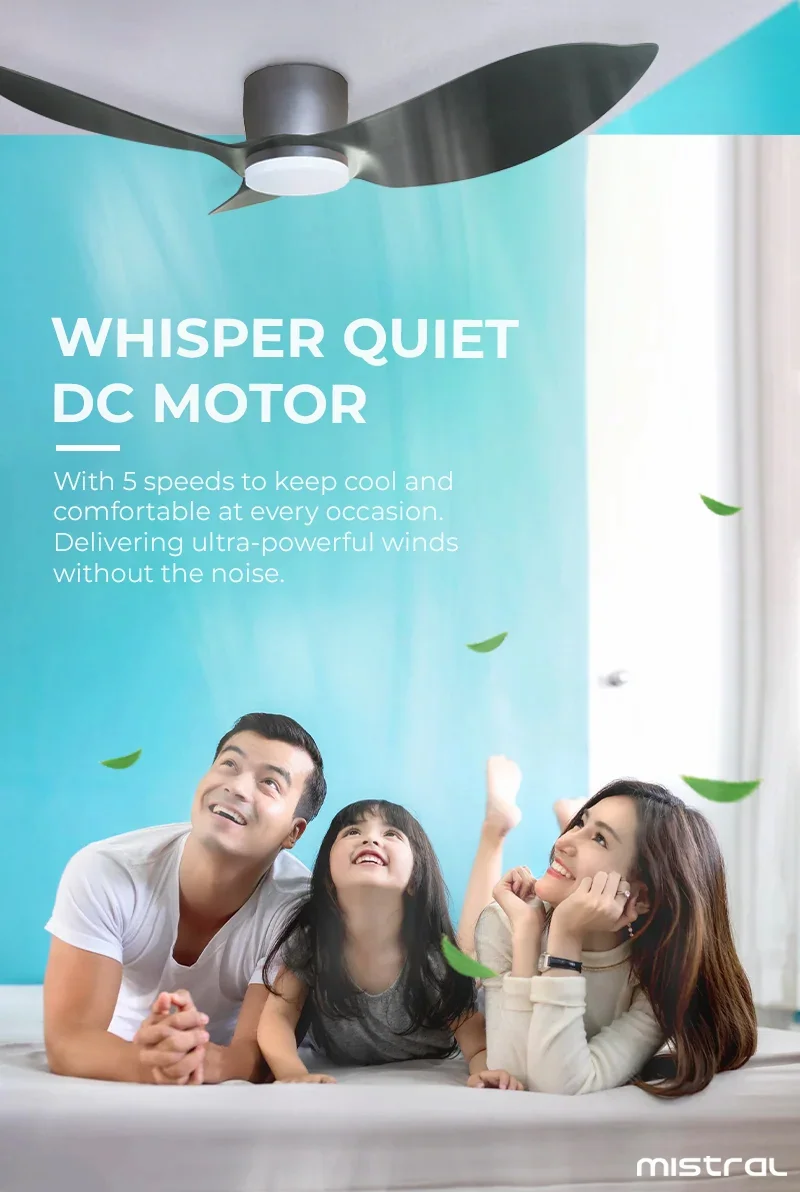 WHISPER QUIET DC MOTOR