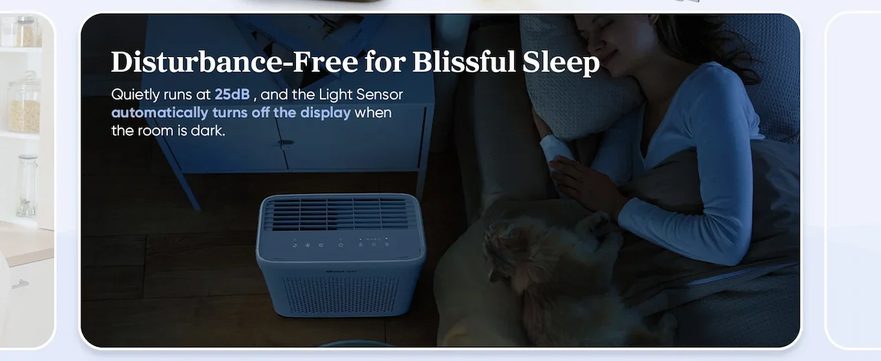 Disturbance-Free for Blissful Sleep