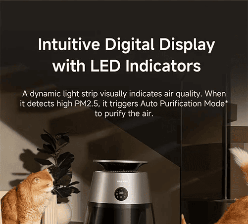 Intuitive Digital Display with LED Indicators
