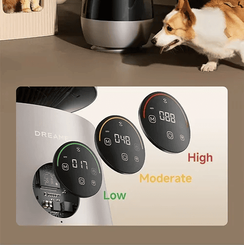 Intuitive Digital Display with LED Indicators